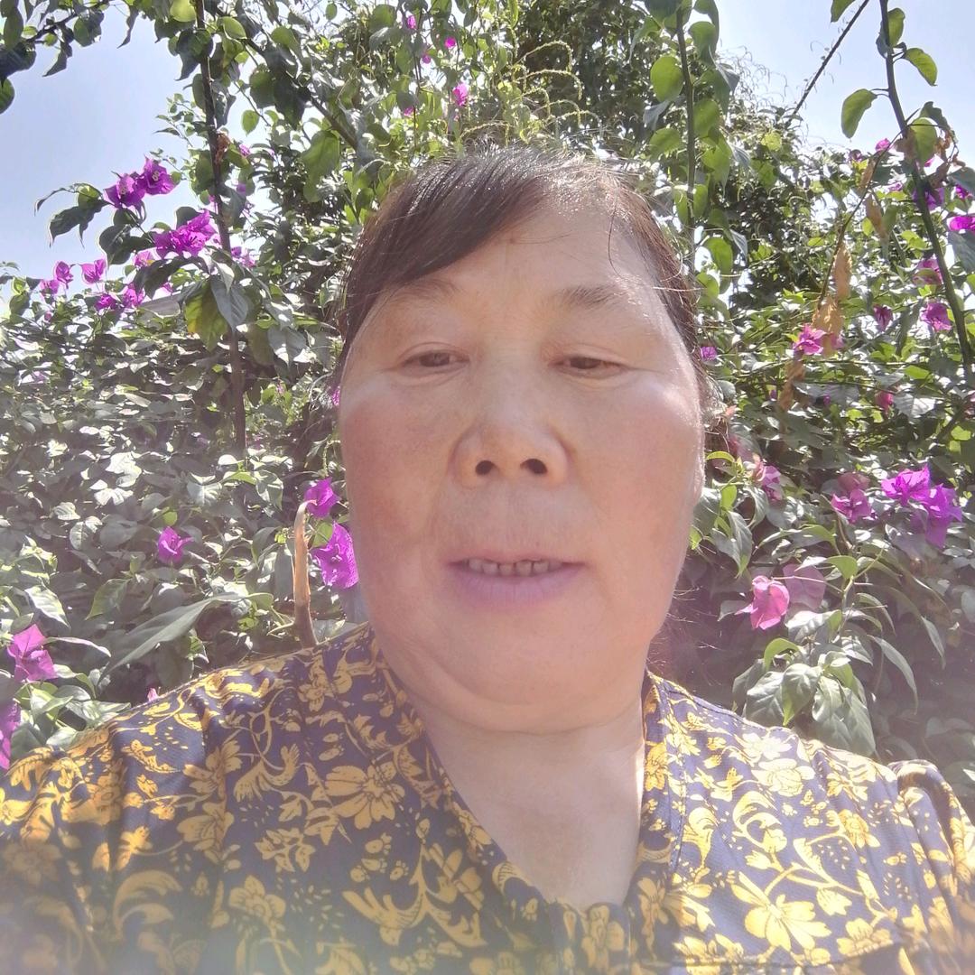 菊菊：首播第一天，