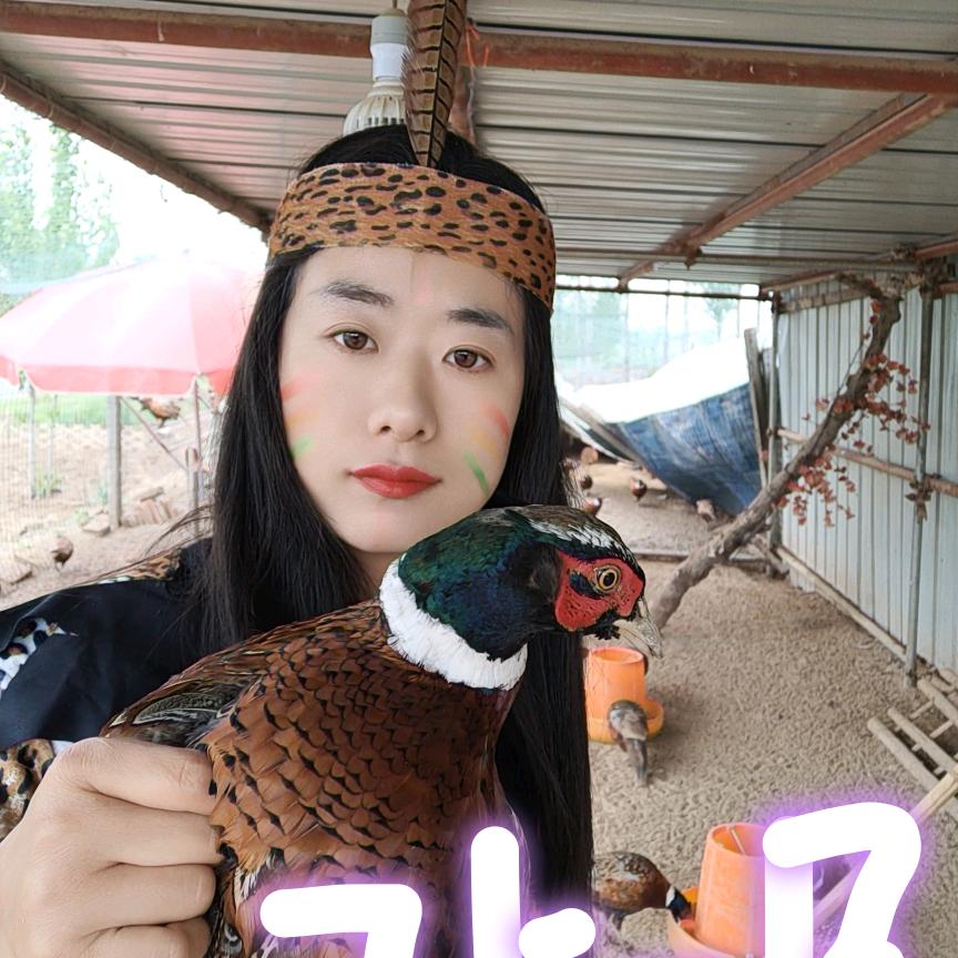 清丰山鸡养殖基地