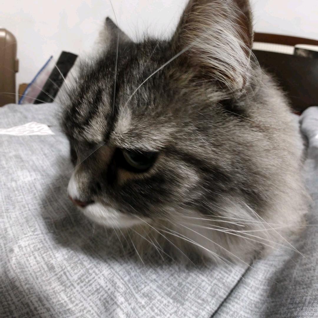 NgdTE