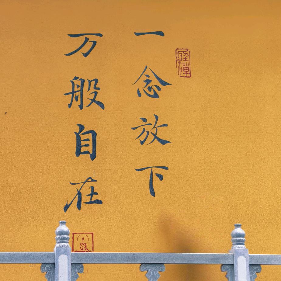 堇年呀