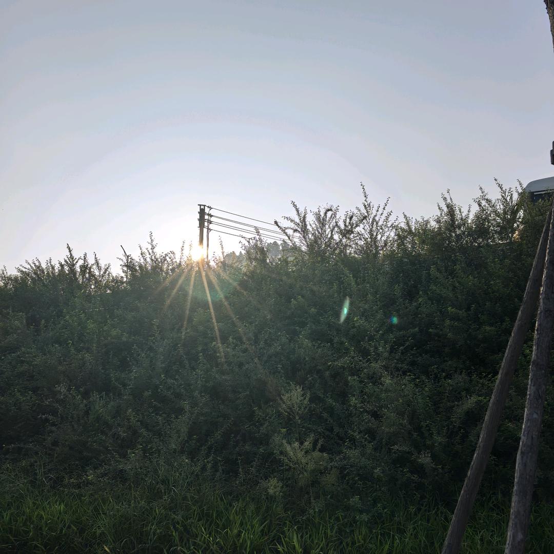 ⋆☽︎︎·̩͙刘宝宝