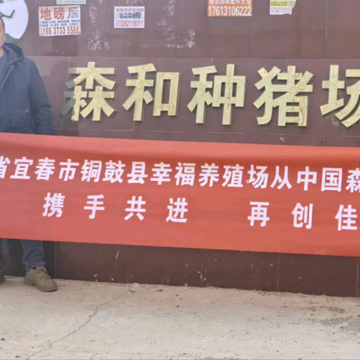 幸福雄猪精