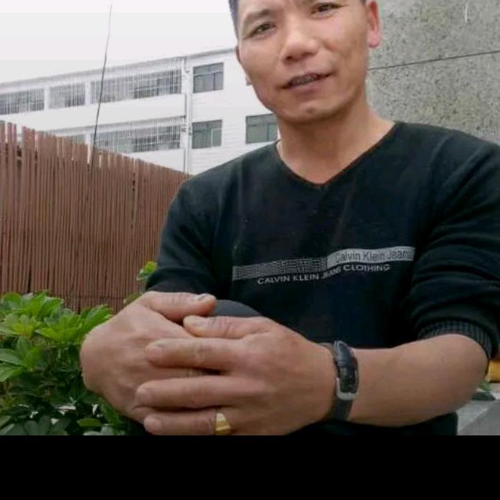 天涯共此时《林》