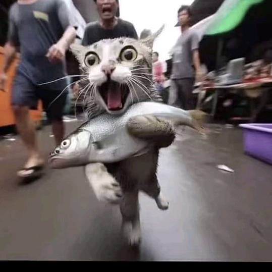 寶ˇ