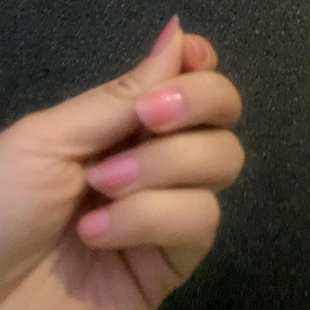 早起的虫子