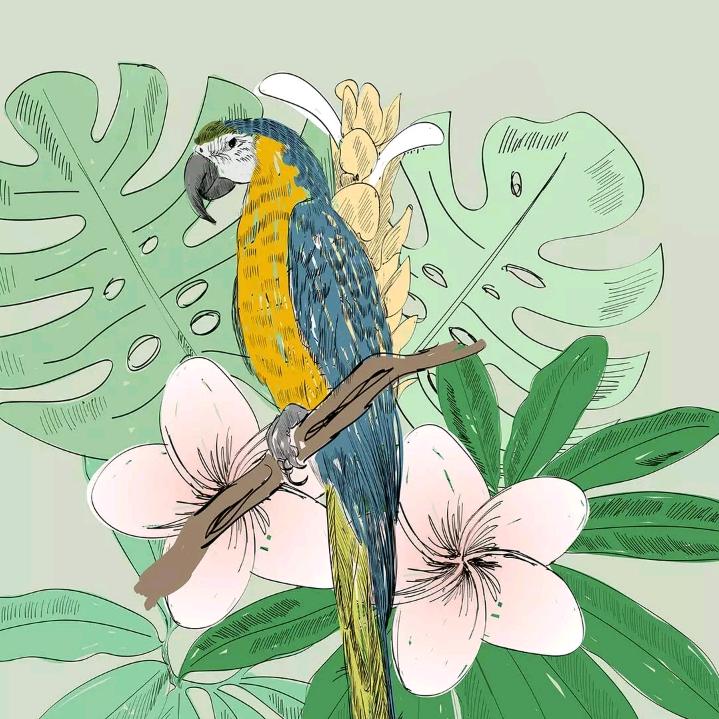 屋檐