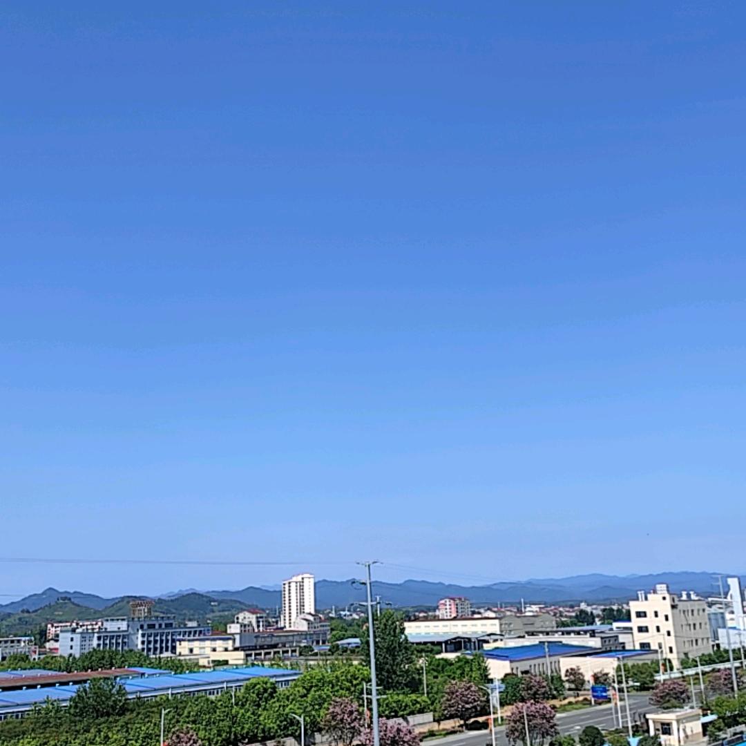 苏逊书屋