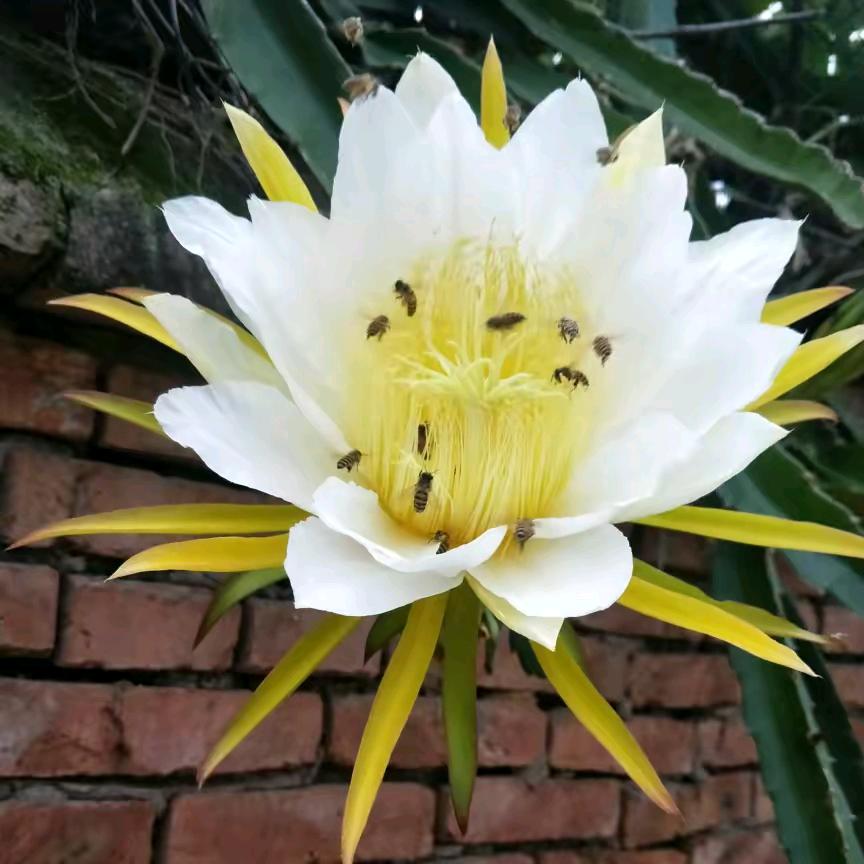 痴情的我，遇见无情的你。🌹