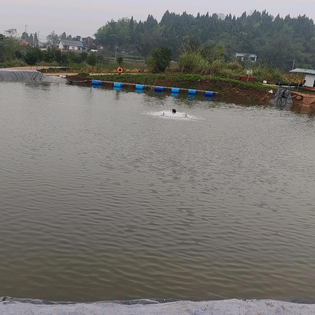 安居狂暴大物垂钓中心