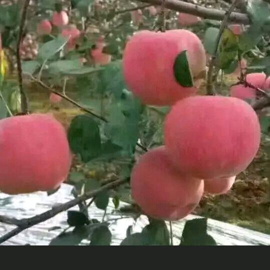 🎏🎏🎏🎏🎏🎏