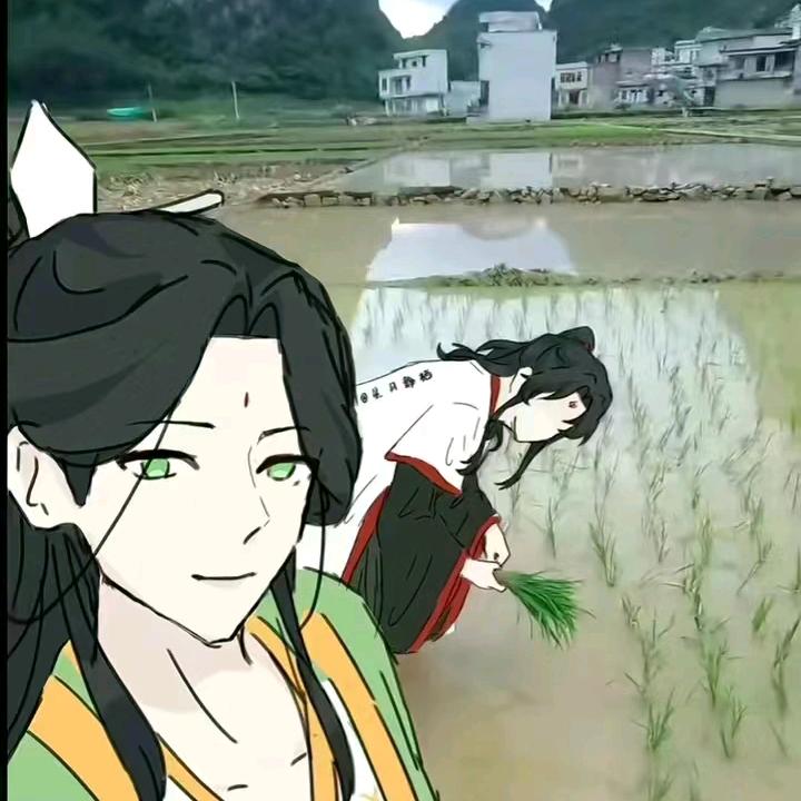cn疯师芳芳大人(求一键三连版)