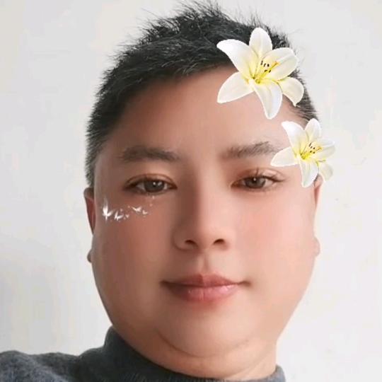 森林哥