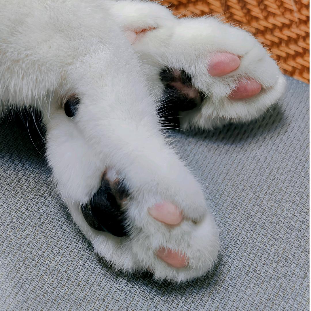 ＄晨曦 Д 微露 ＄