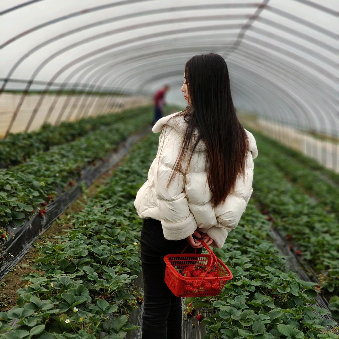 ╰つ◆尛懶人℃