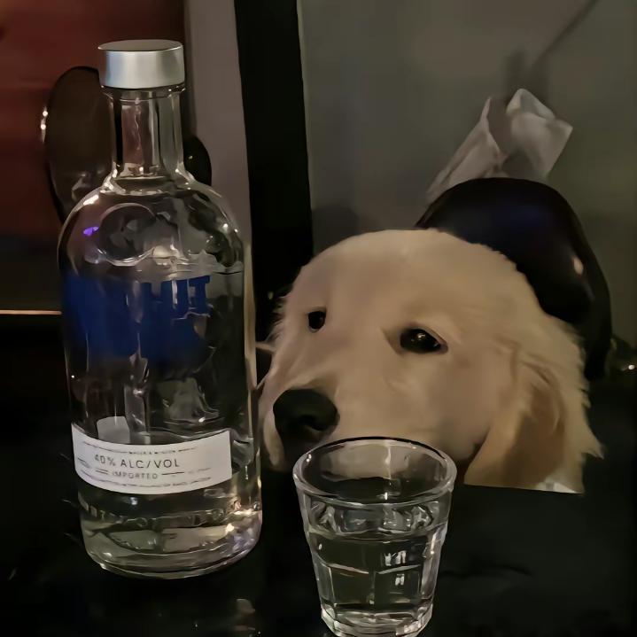 可乐^O^