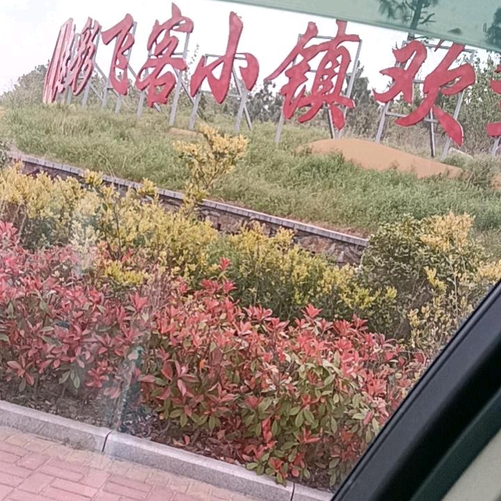 一场相遇，一生回忆