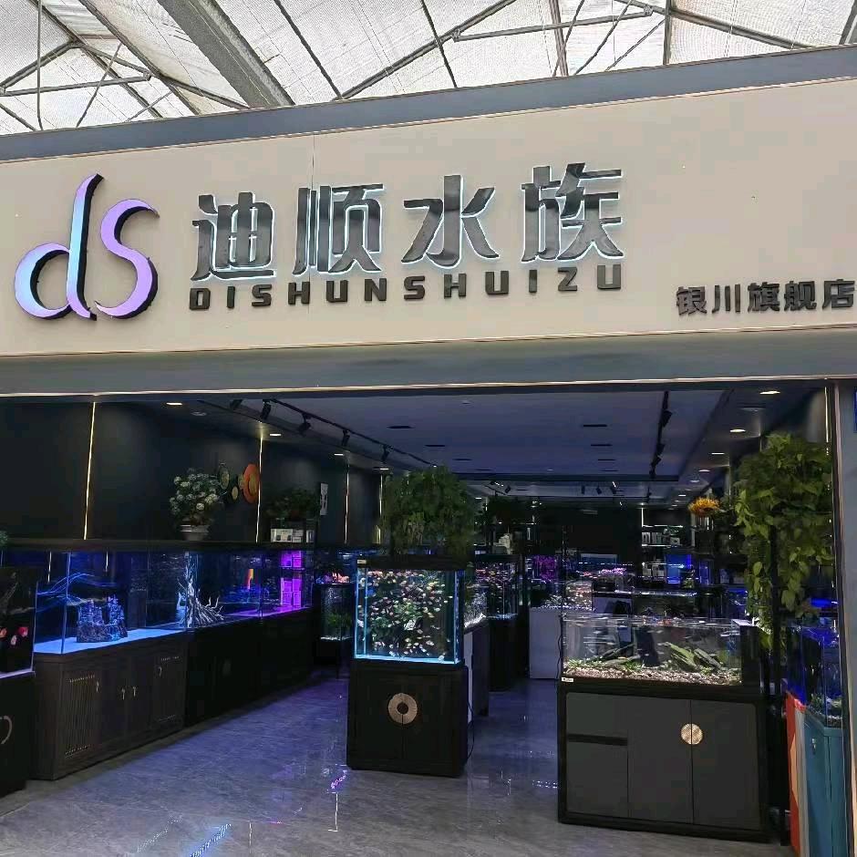银川迪顺水族馆（和晟鲜花港）
