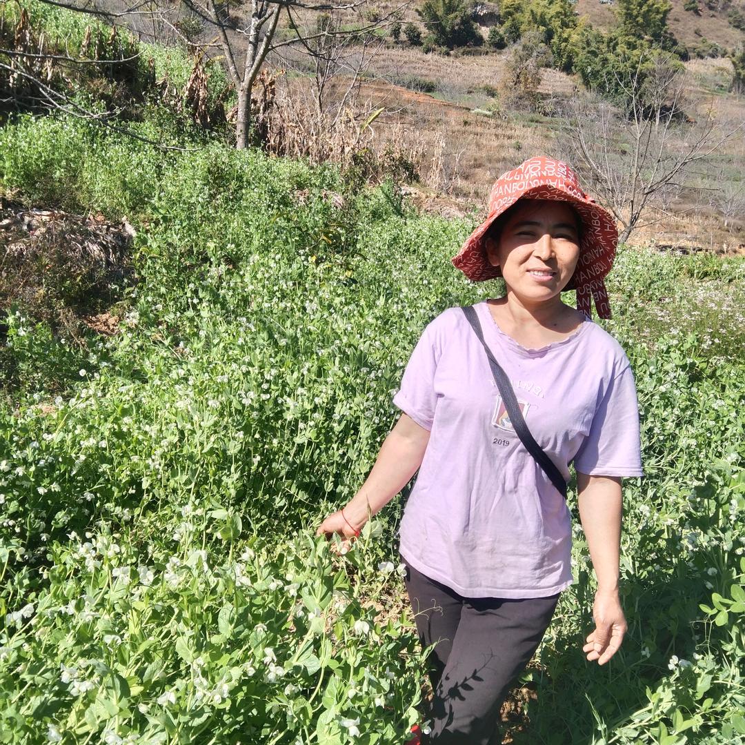 向日葵姐姐。拒绝私聊