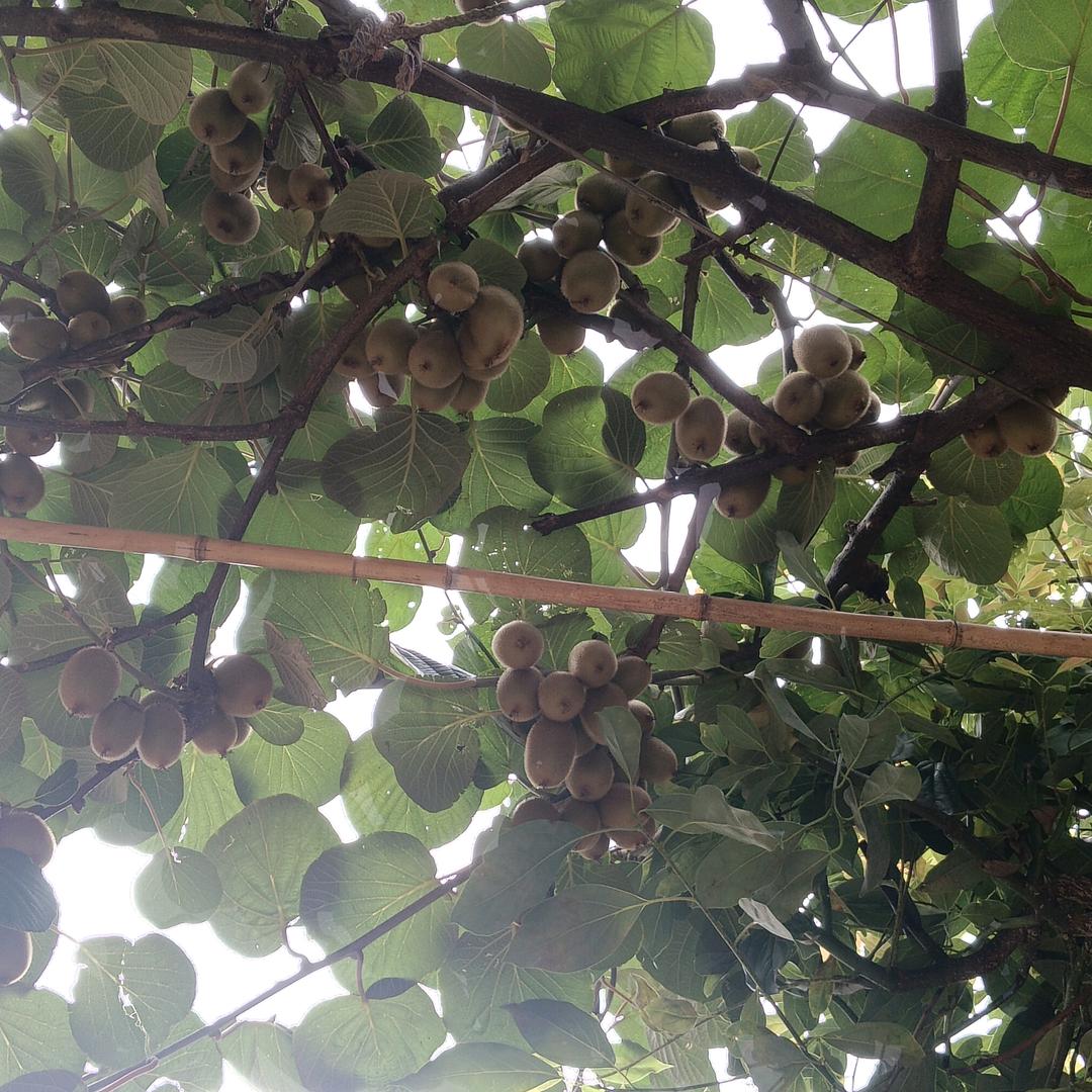 一🌹生🌹有🌹你💞拒绝连赞