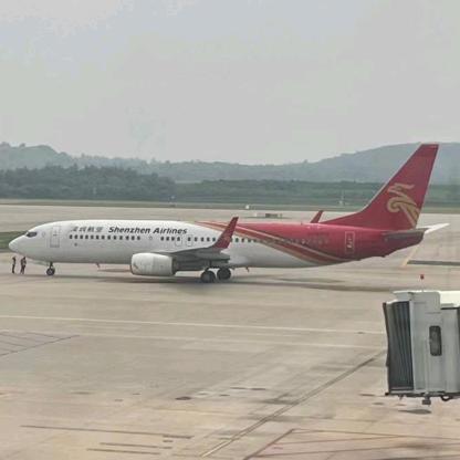 肥仔