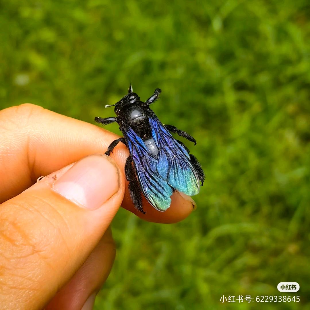 小陈商贸