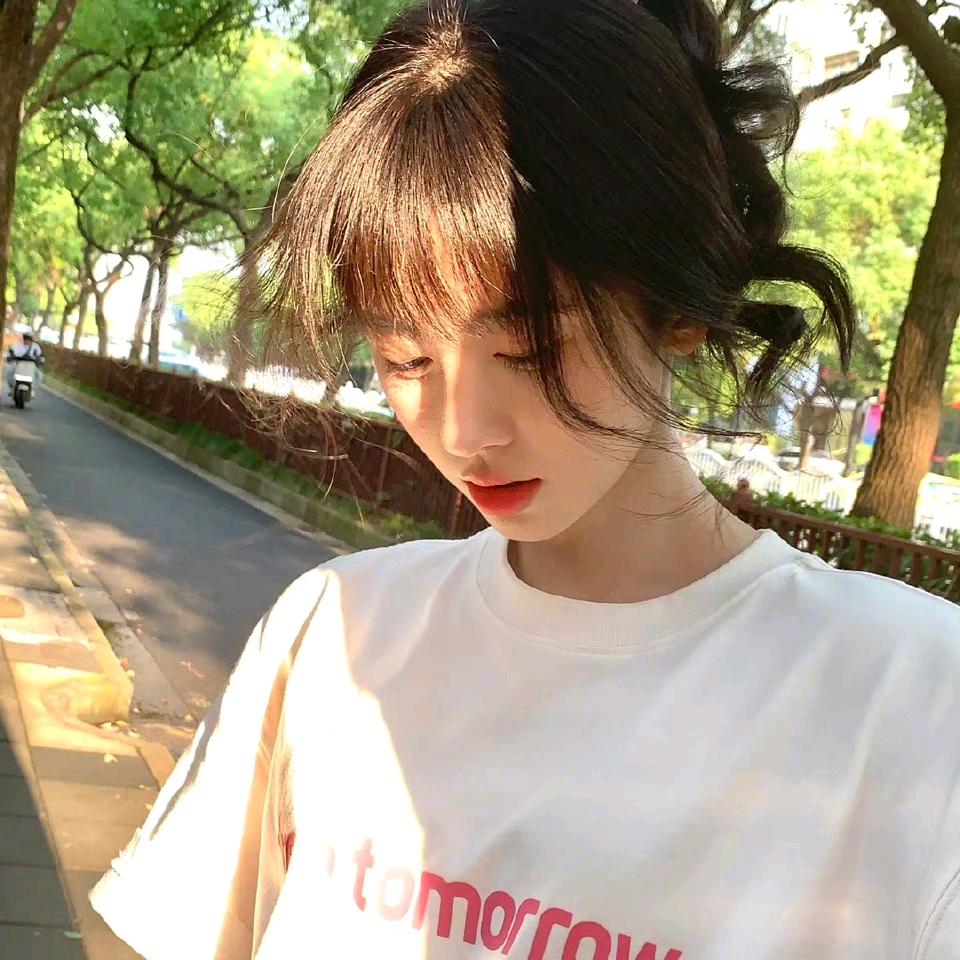 小狗追蝴蝶