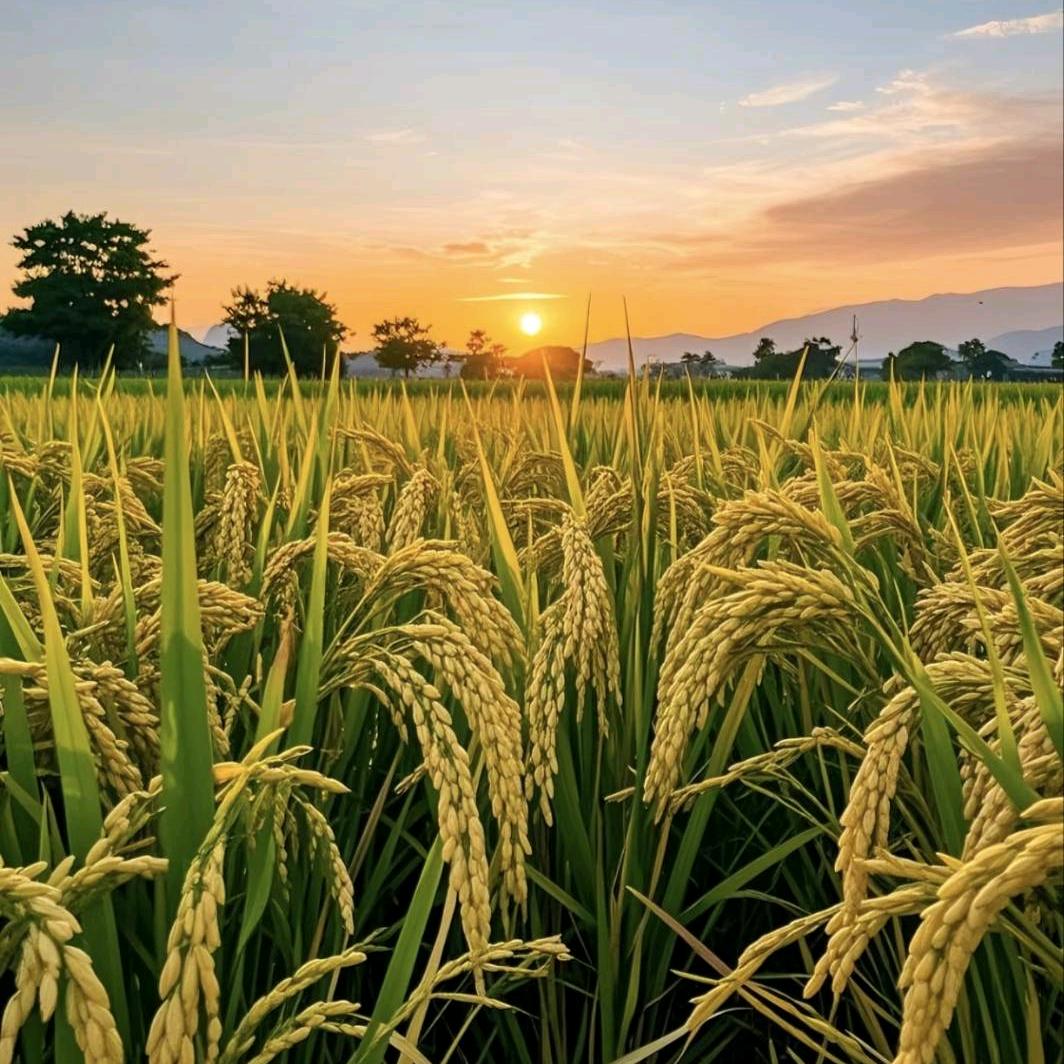 耳机带反了的小迷糊