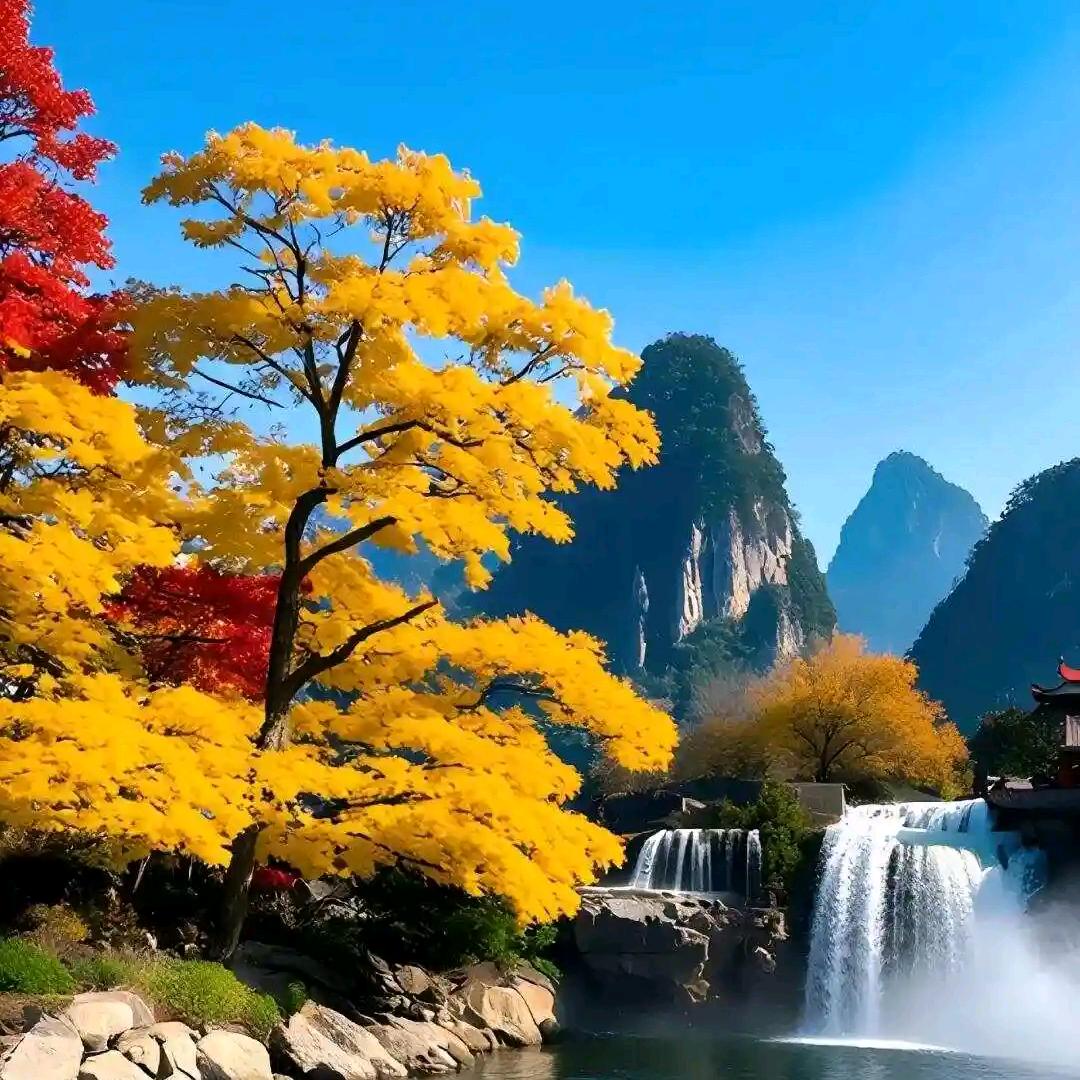 上善若水@