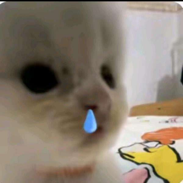 多巴胺L