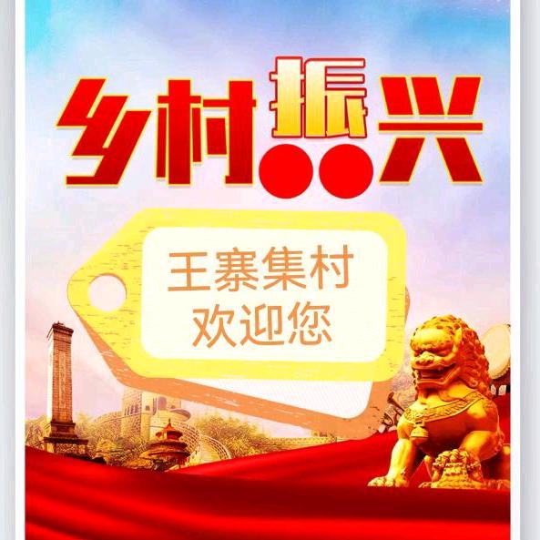 关集镇王寨集村干部