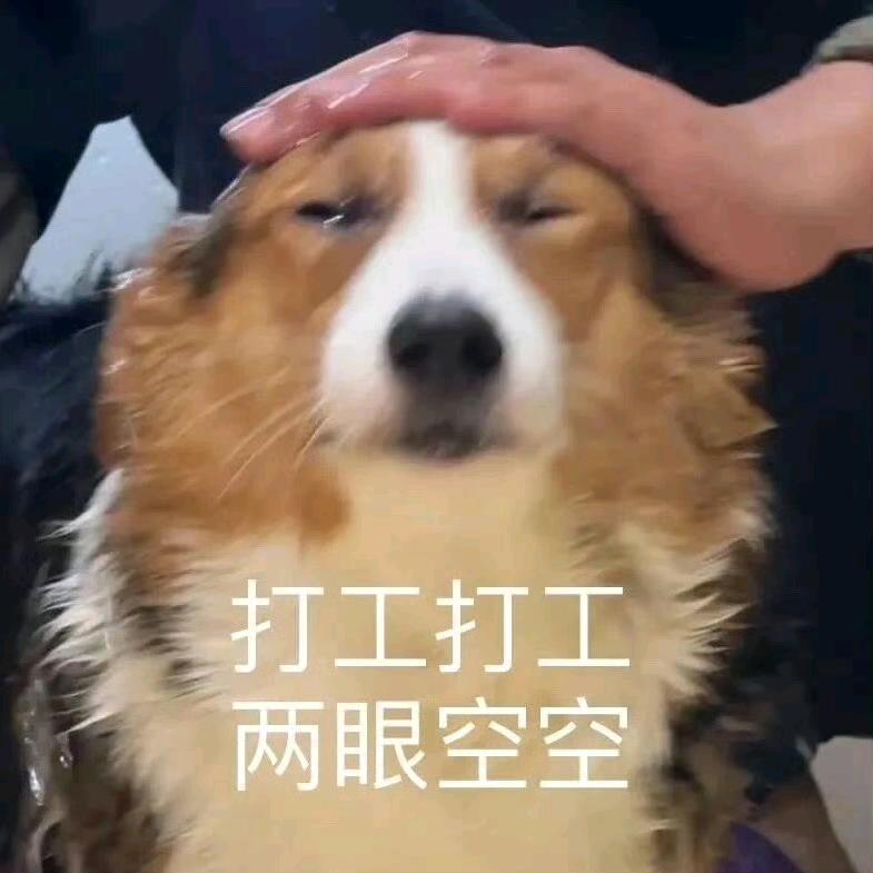 我叫咕咕