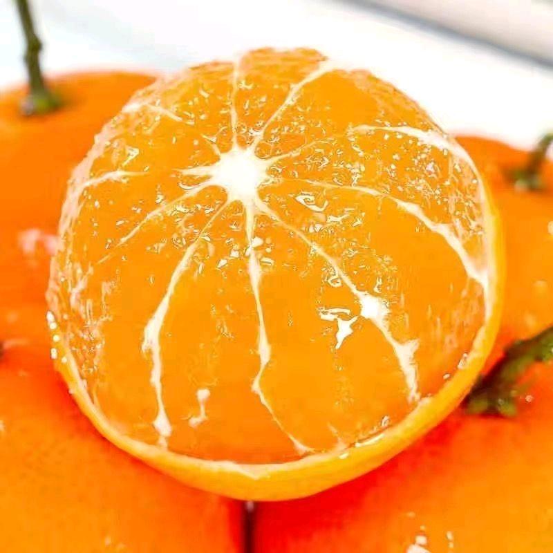 赣南脐橙🍊🍊🍊🍊