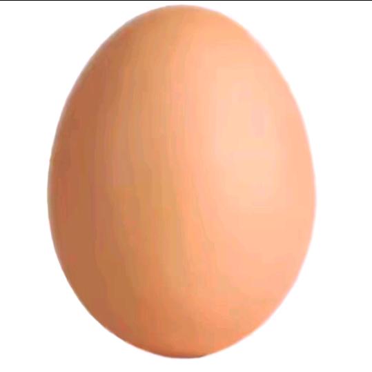 蛋