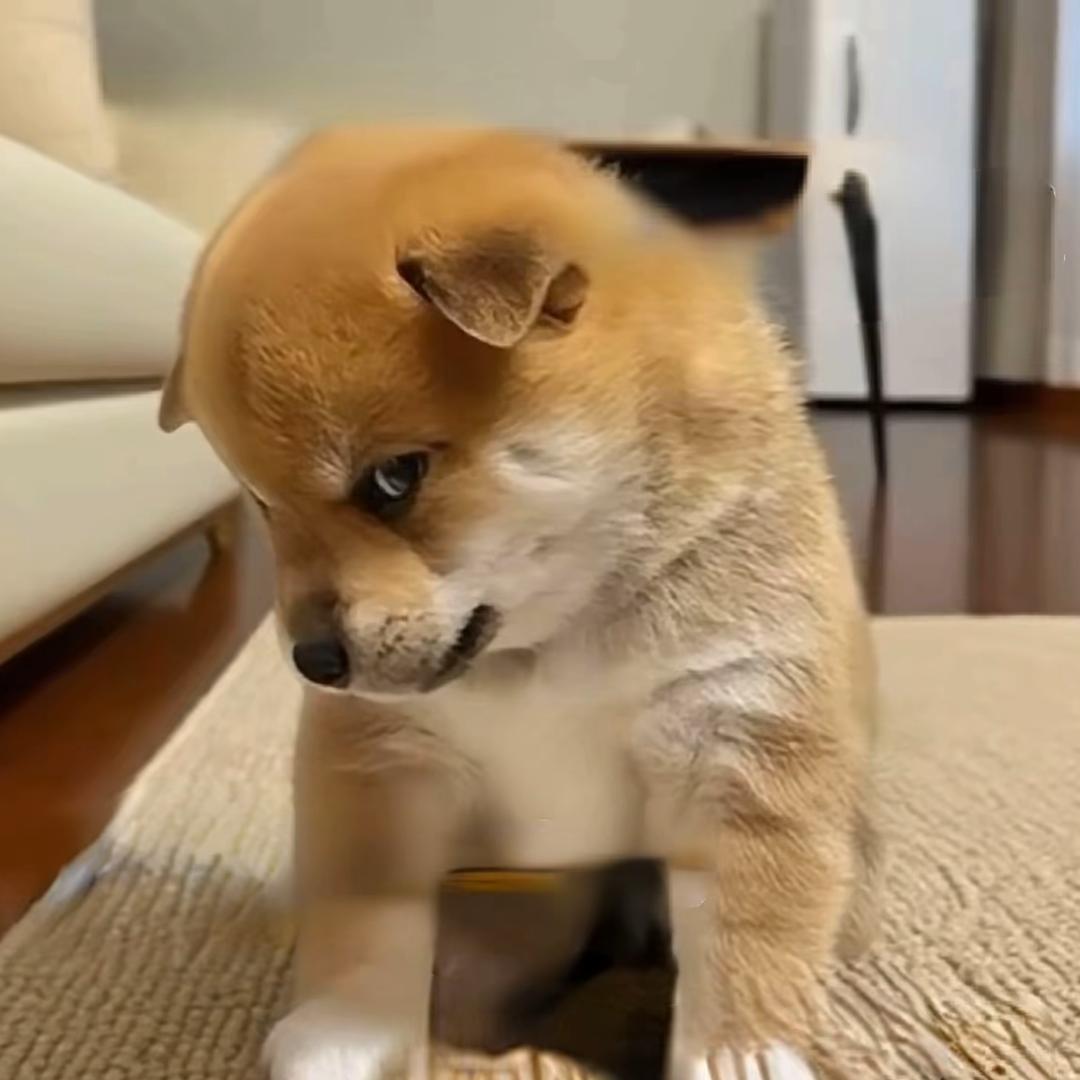 ᥫᦱᐝ无名ཀོ࿐