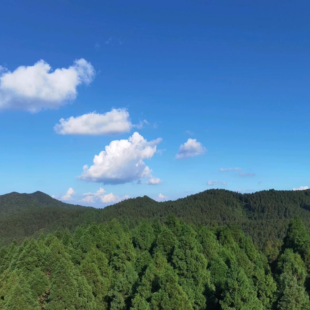 ✨巴渝TIAN✨