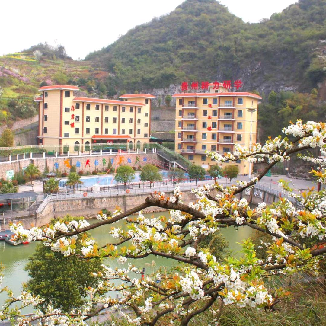 贵州耕力研学实践基地官方号