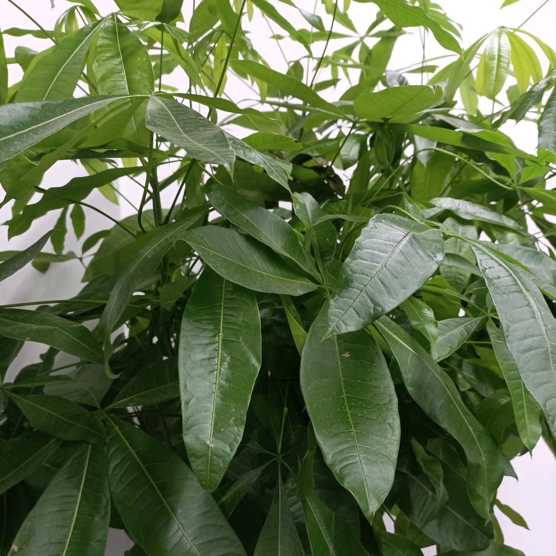 沐妈爱分享