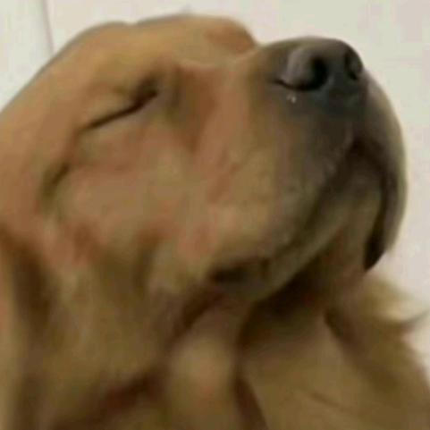冰镇维尼
