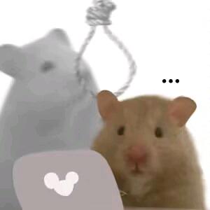 鼠了