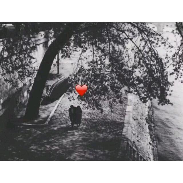 岁岁祈愿