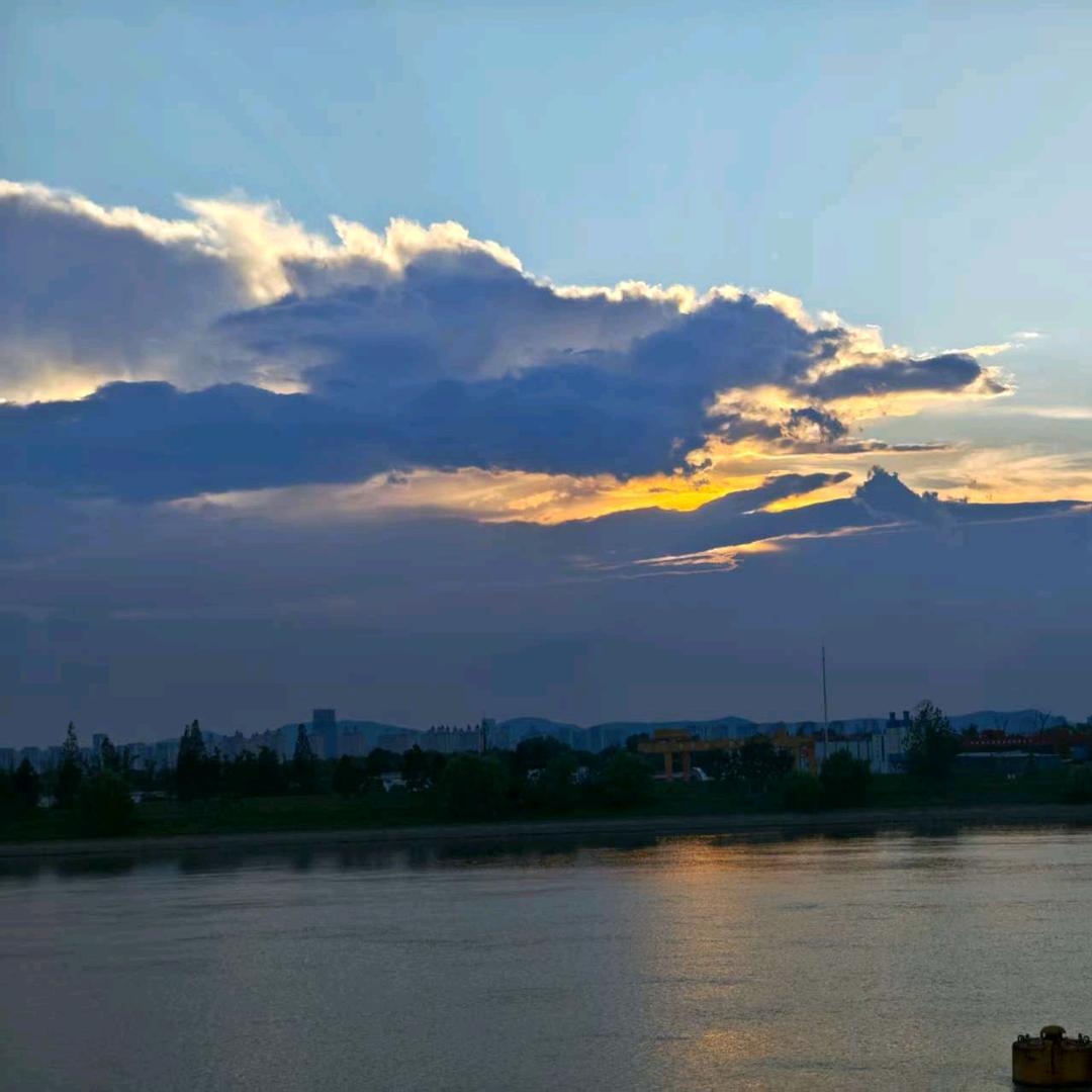 小白
