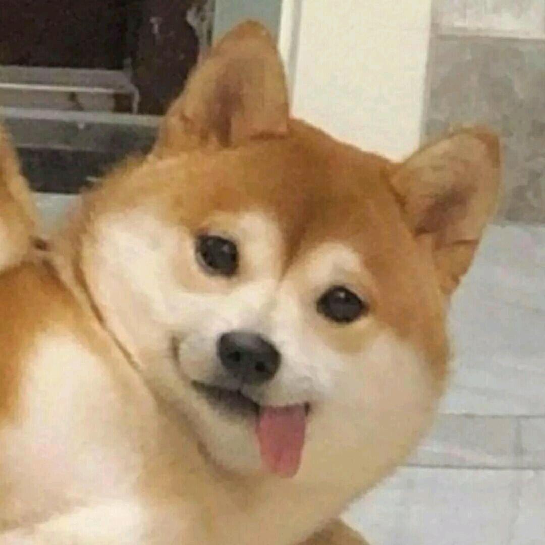 不听不听我不听