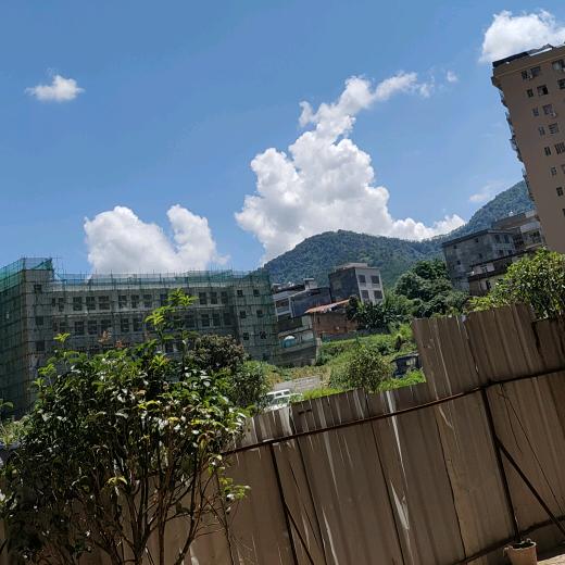 人生若只初相见