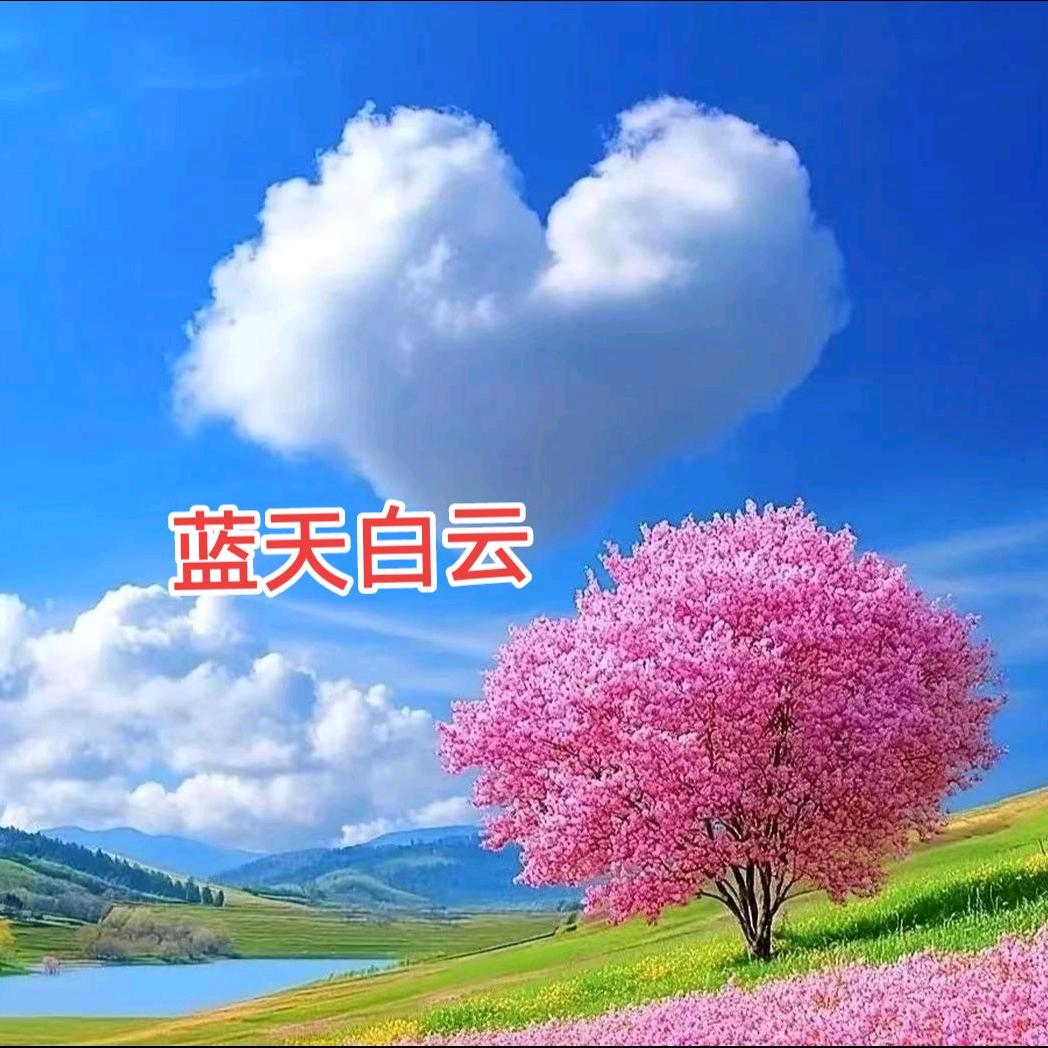 开心的小龙女【拒绝私聊】