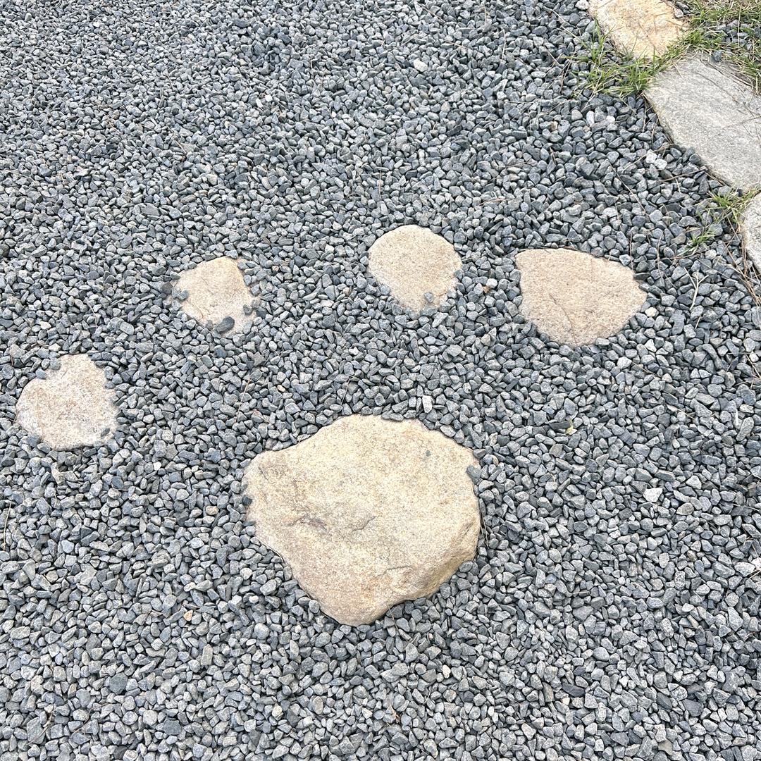 赫兹