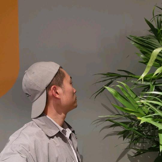 洛阳软装工匠人行齐