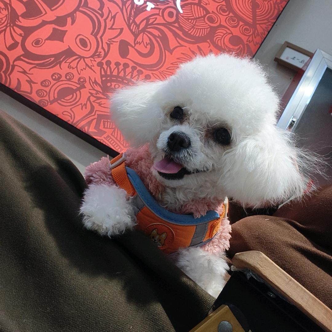 晓荷光曦