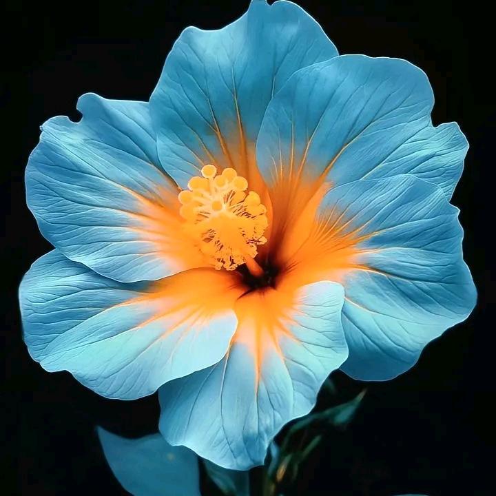 各类报名，车证有关都接