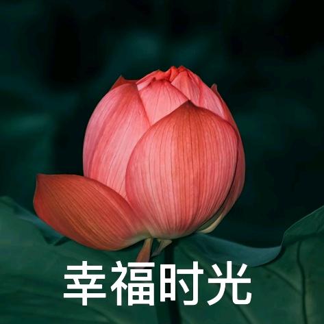 呃呃0