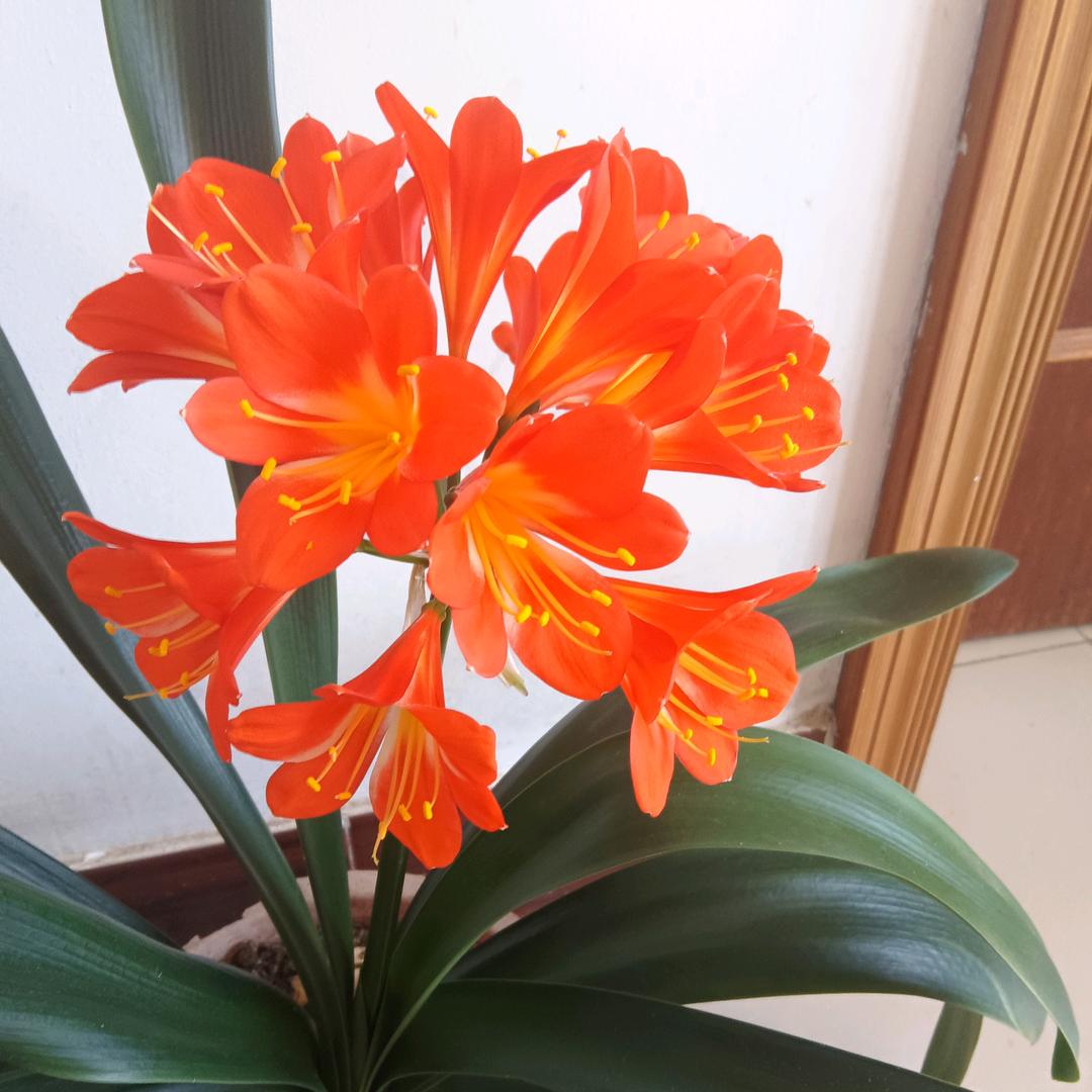 🥀এ᭄累了ꦿ谁💔疼ོ࿐ᩚ